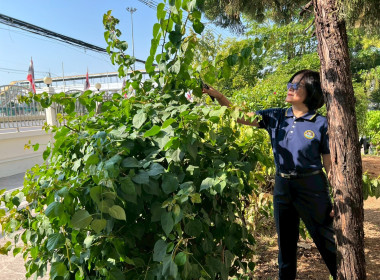 สำนักงานสหกรณ์จังหวัดหนองคาย จัดกิจกรรม Big Cleaning Day 5 ... พารามิเตอร์รูปภาพ 3